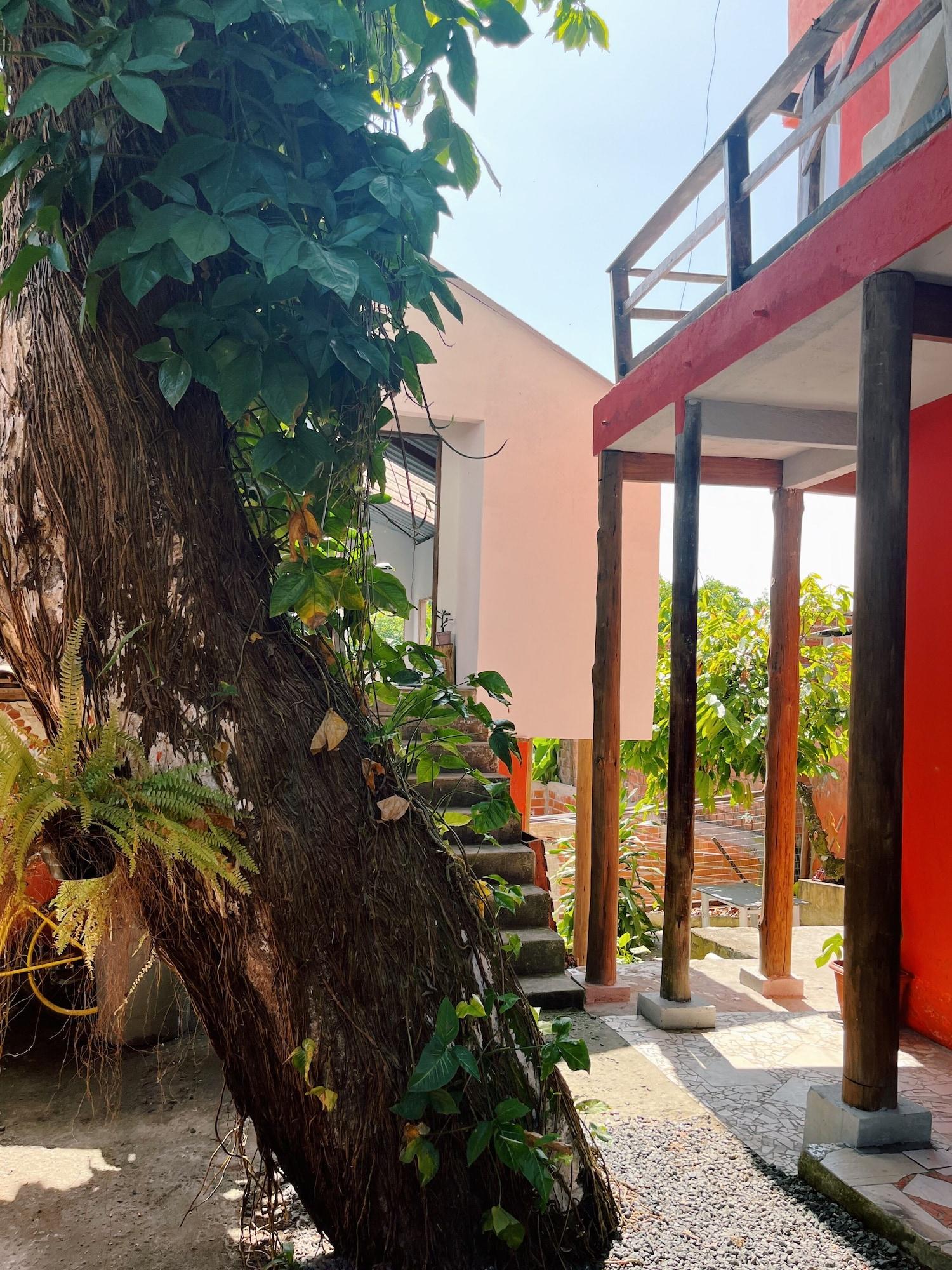 Vista Exterior Morada Cacauera