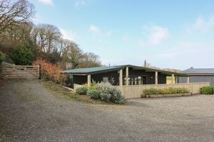 Alquiler Vacacional - Y Felin - Moana