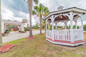 Alojamiento - Carolina Lodge