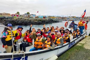 Actividad - Ticket Embarcación Chañaral de Aceituno