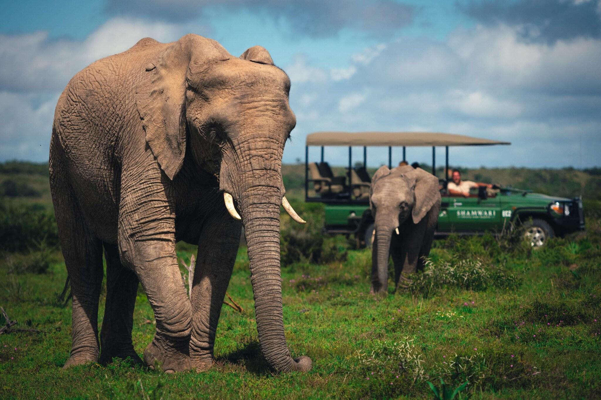 Vista Exterior Shamwari Long Lee Manor