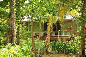 Alojamiento - The Hibiscus Palmetto Bay