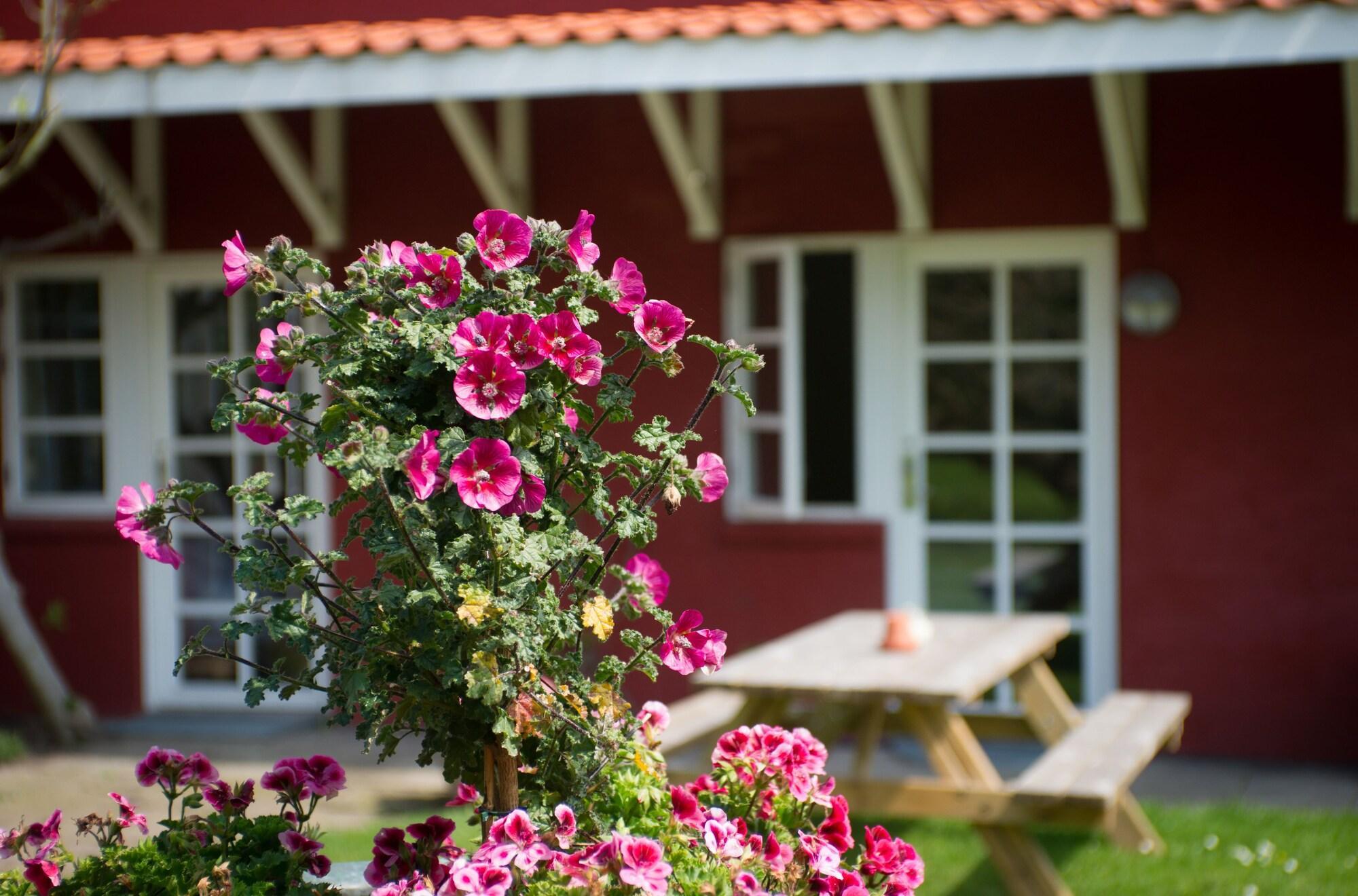 Vista Exterior Hotel Allinge