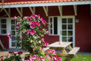 undefined - Hotel Allinge