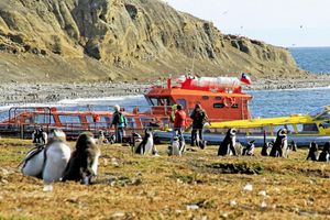 Actividad - Isla Magdalena - Tour de medio día