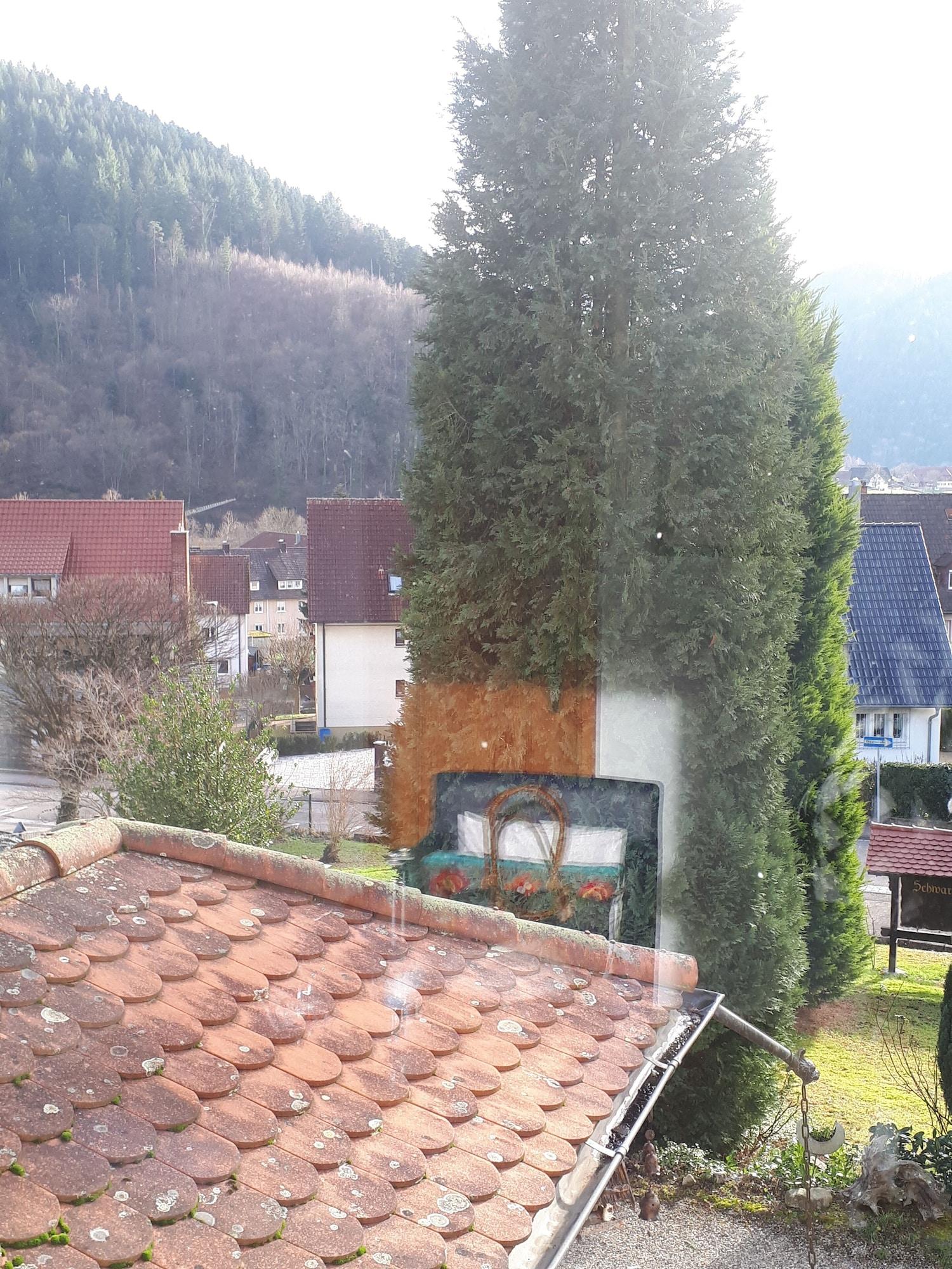 Vista Exterior Schwarzwaldhotel Garni Wolfach