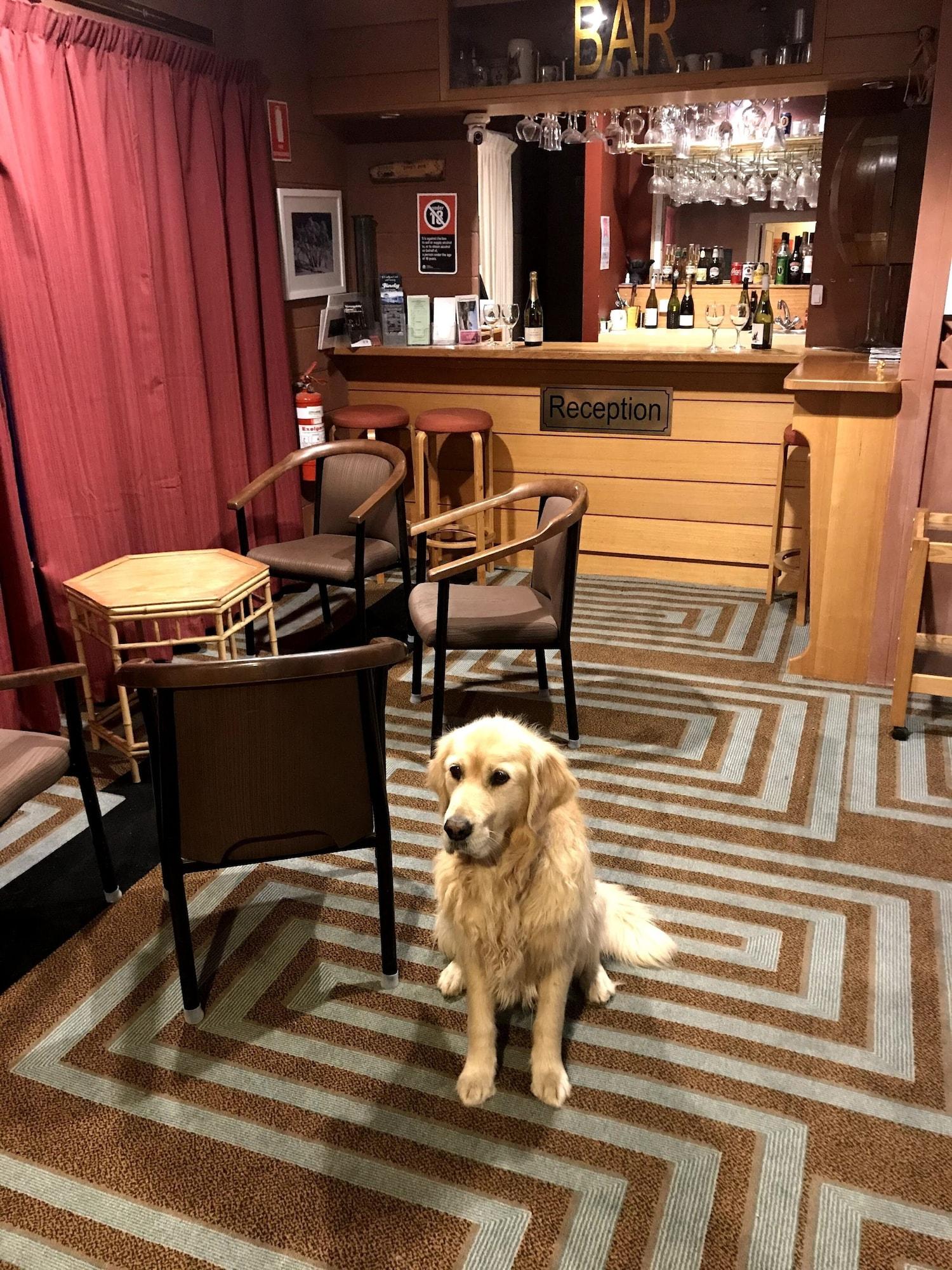 Bar/Salón Cottonwood Lodge