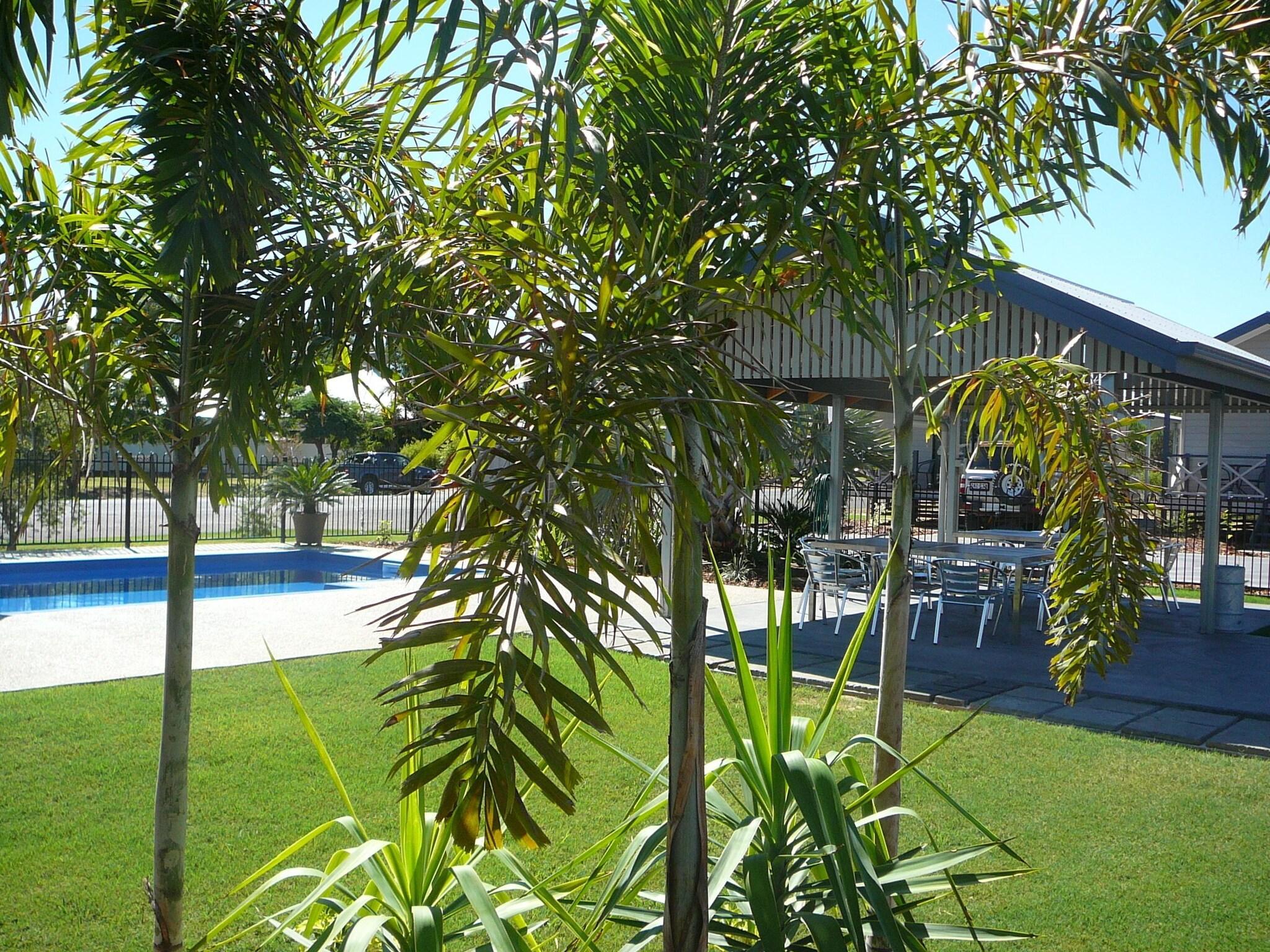 Vista Piscina Barcaldine Country Motor Inn