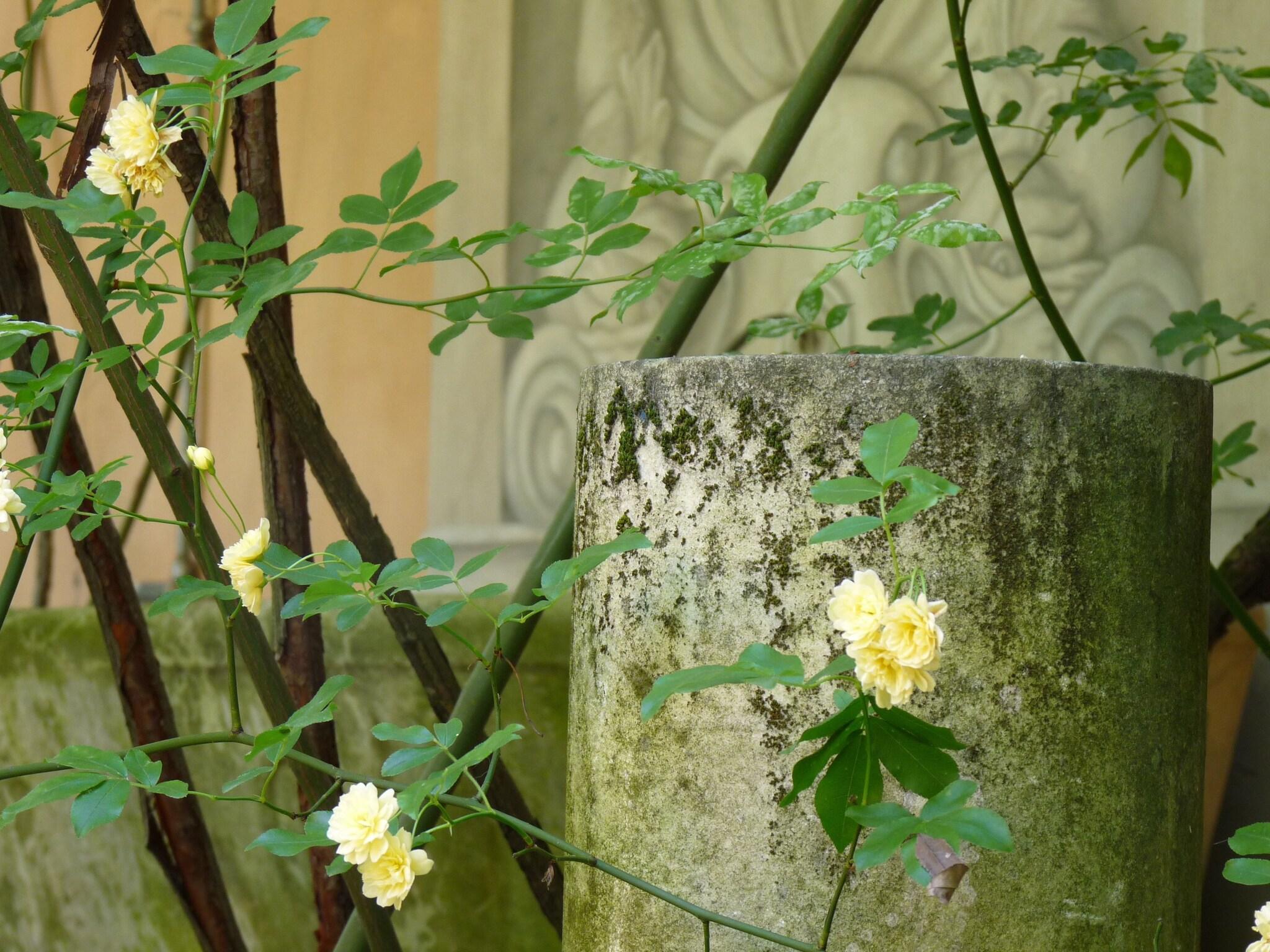 Vista Exterior Classic Hotel