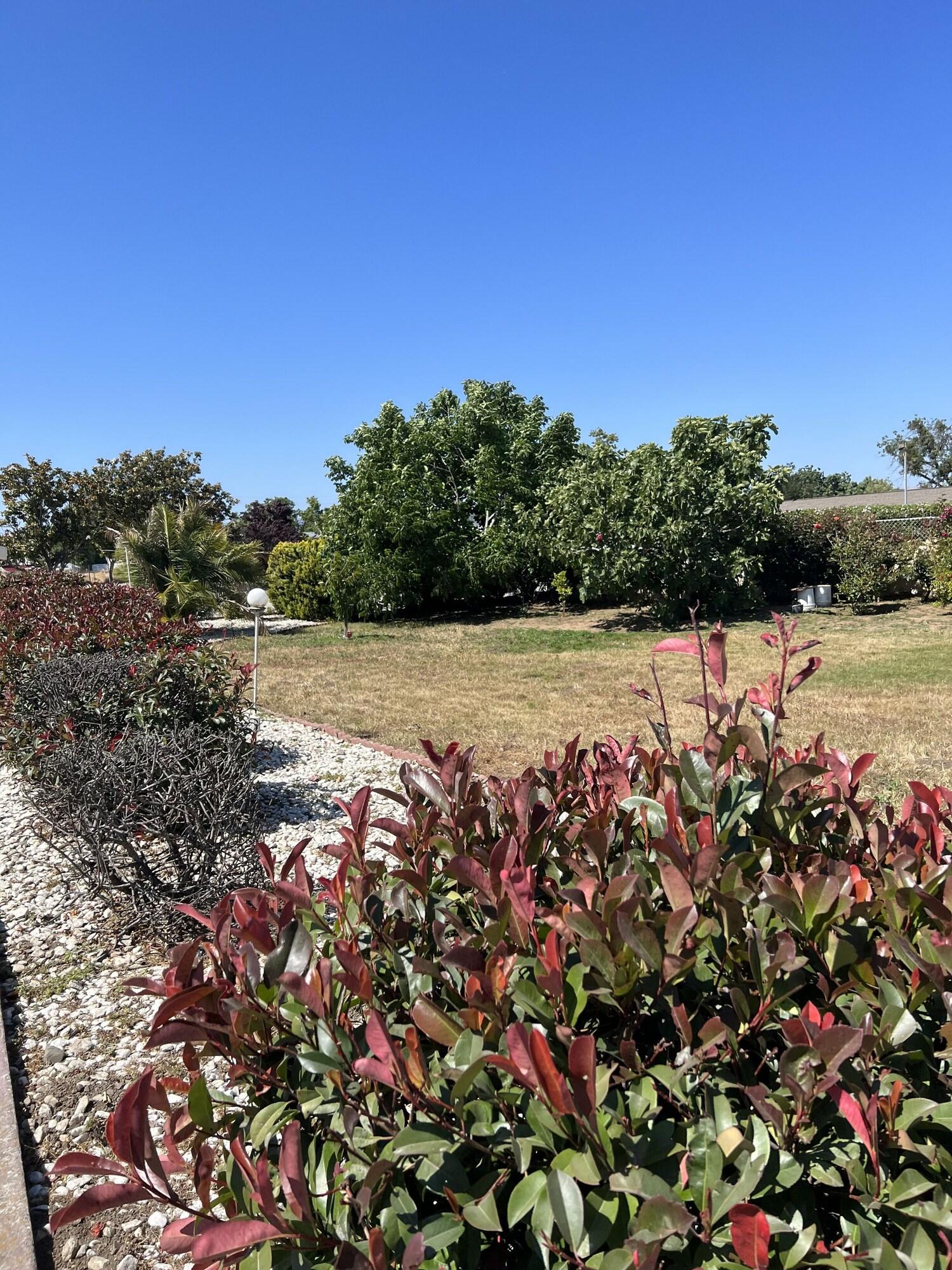 Vista Exterior Travel Inn Gilroy