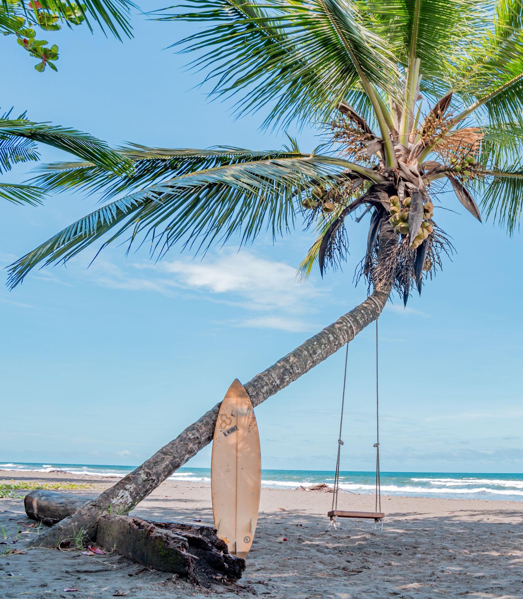 Varios Hotel Serendipity tortuguero