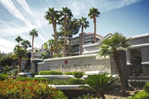 Alojamiento - Desert Rose Resort