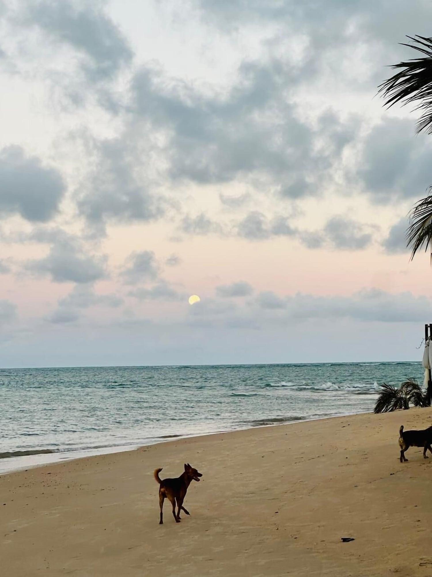 Playa Pousada Costa do Sol Coroa Vermelha
