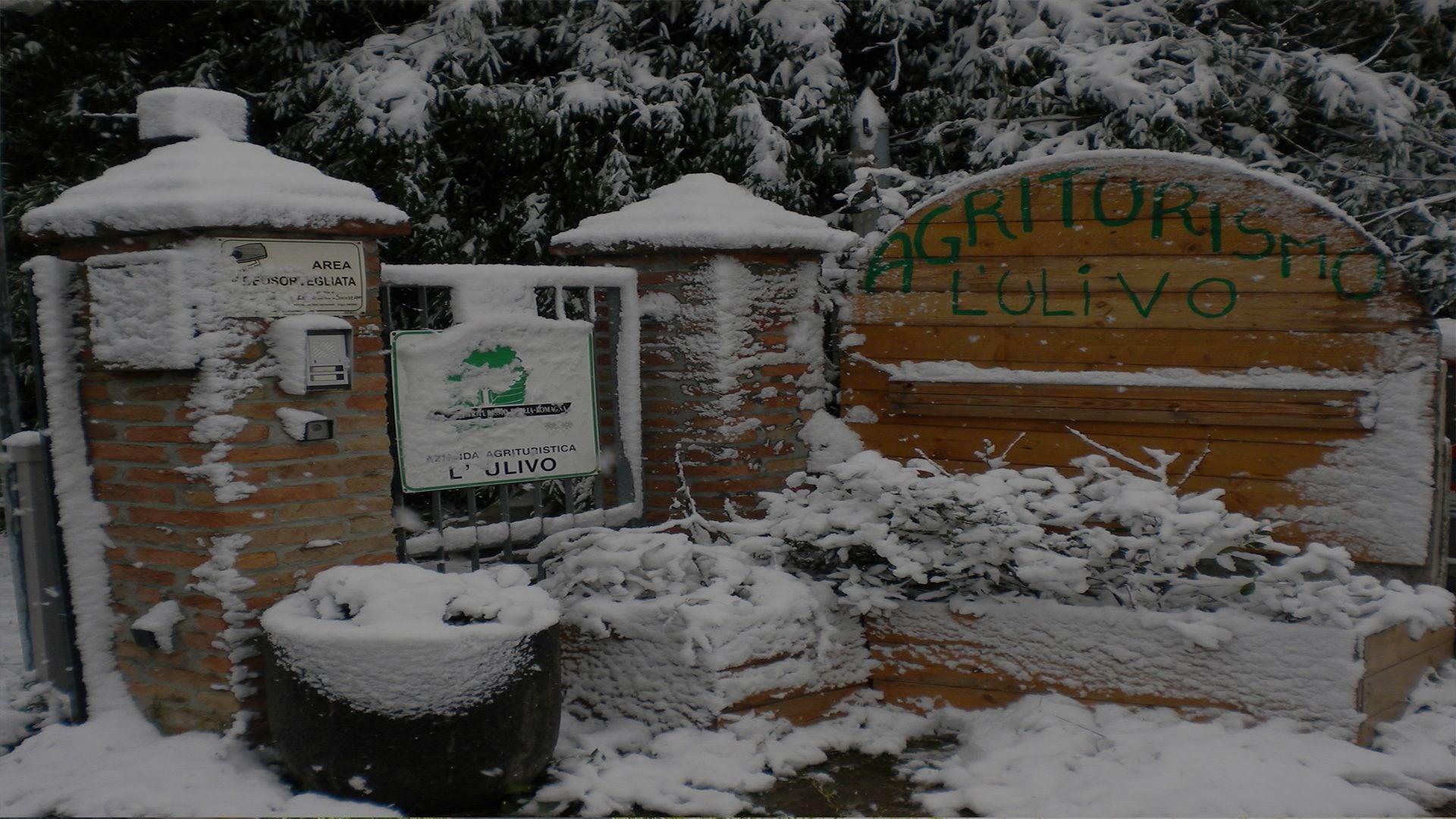 Vista Exterior Agriturismo L' Ulivo