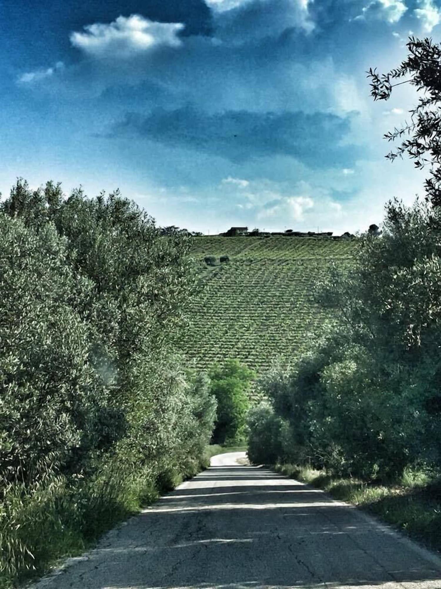 Varios osteria b&b il barcollo
