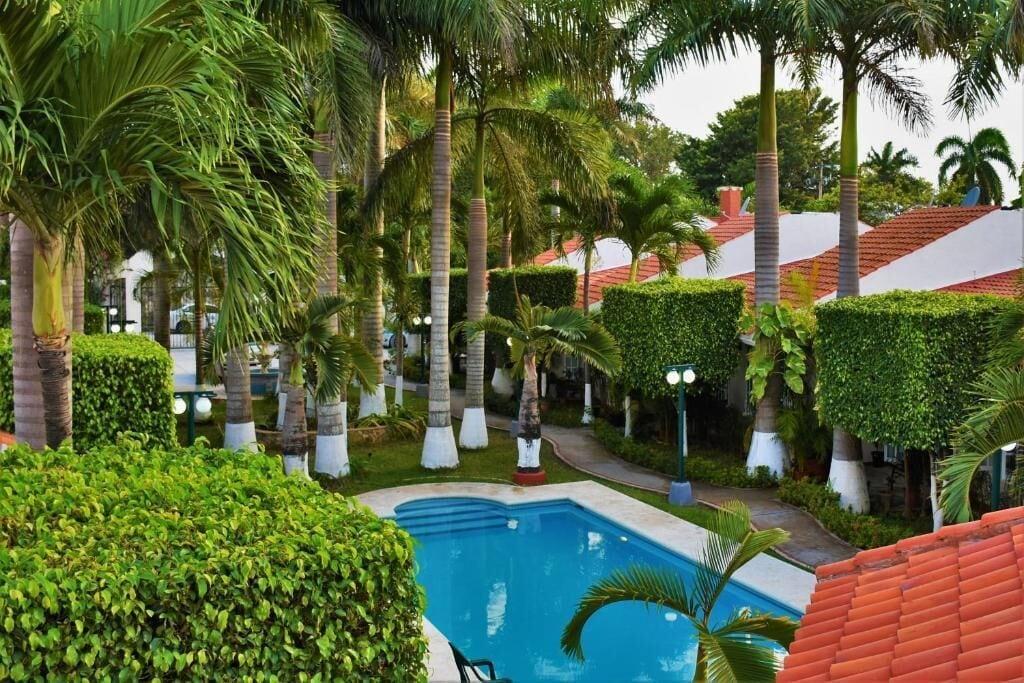 Vista Piscina Tulipanes Cancun