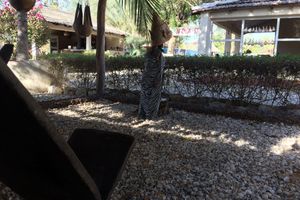 Alojamiento - Africa Strike Lodge