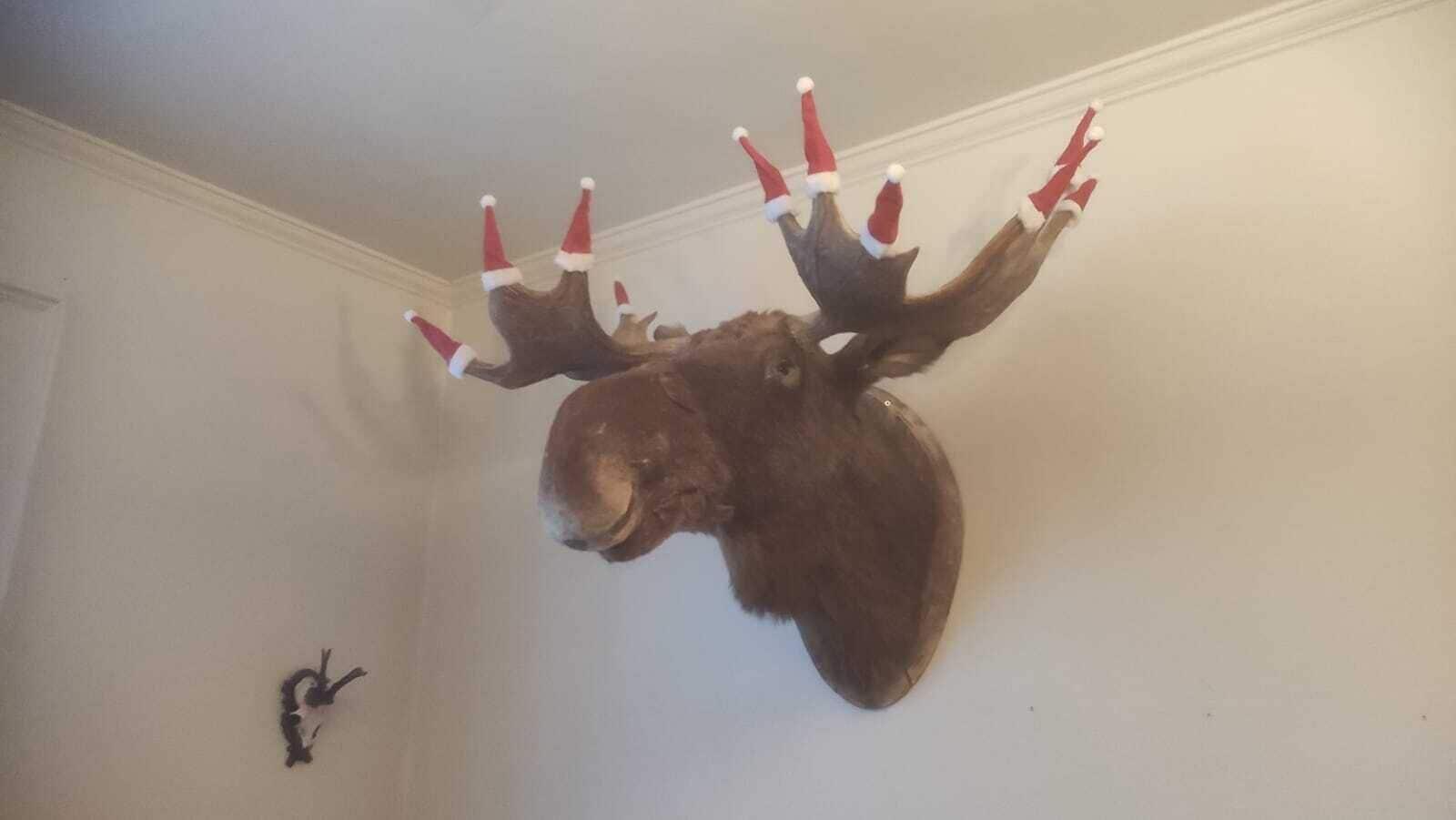 Vista Lobby Lugnet Malung Hotel