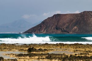 Actividad - Catamarán a Isla de Lobos con recogida en Corralejo