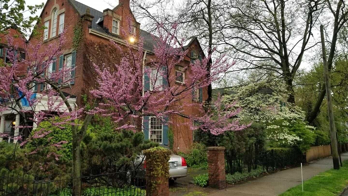 Varios Clifford House Private Home Bed & Breakfast