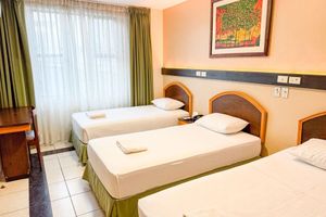Alojamiento - Hotel GH Alexander