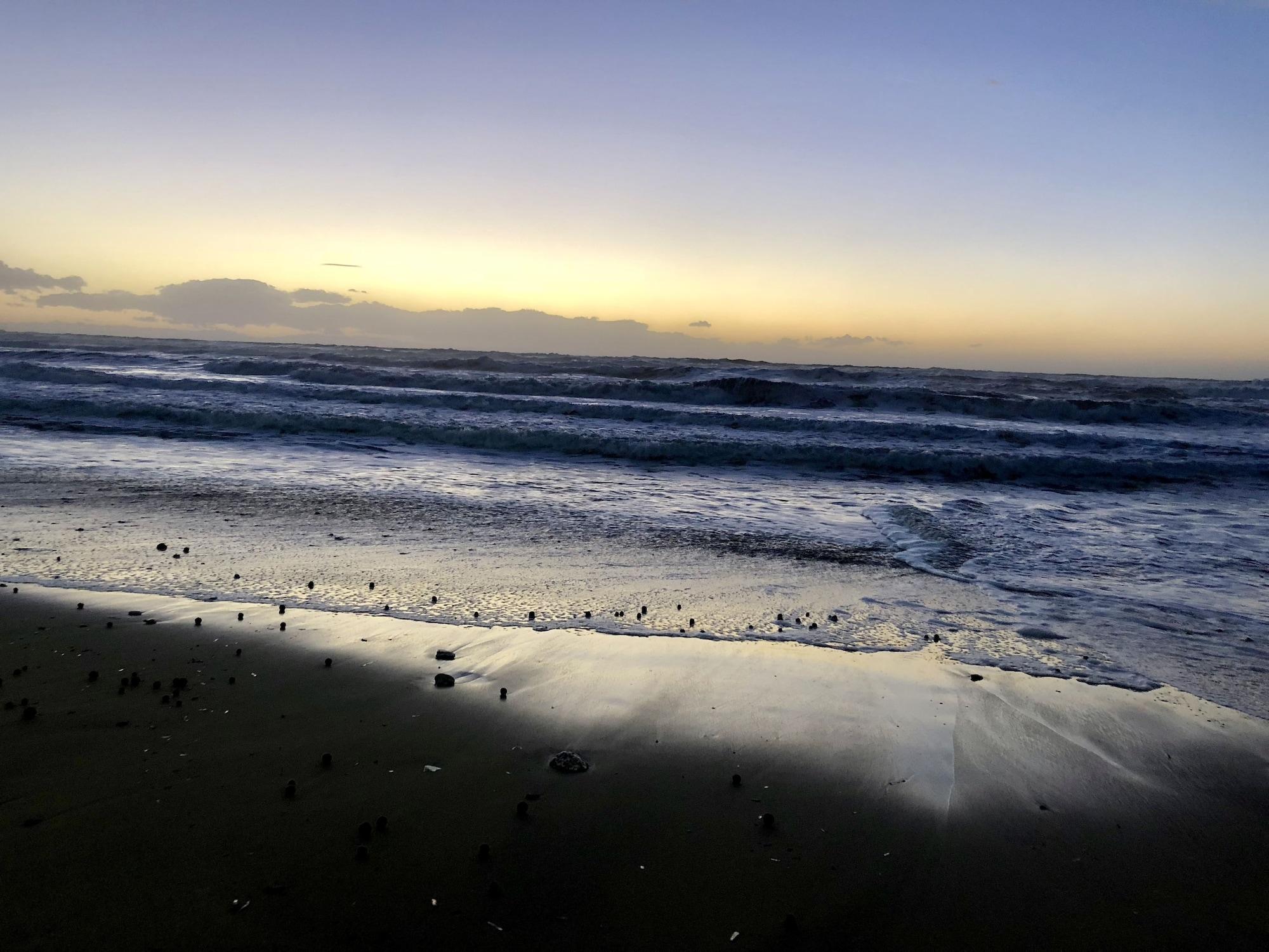 Playa Hotel Il Delfino