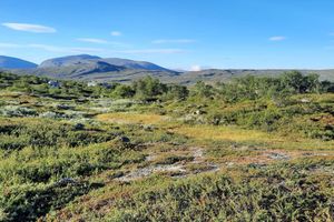 Alquiler Vacacional - 5 Star Holiday Home in Salen