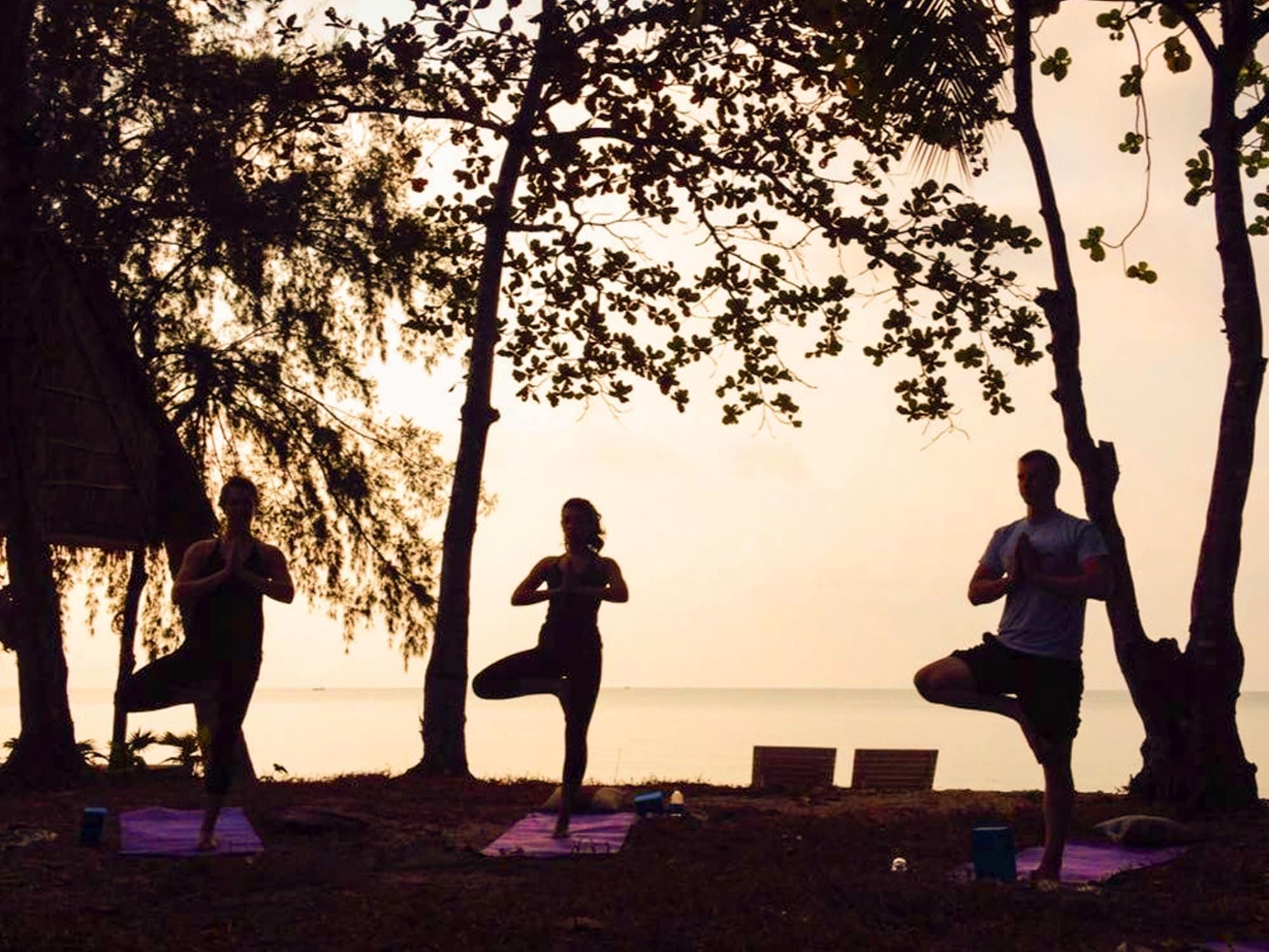 Gimnasio Bamboo Cottages