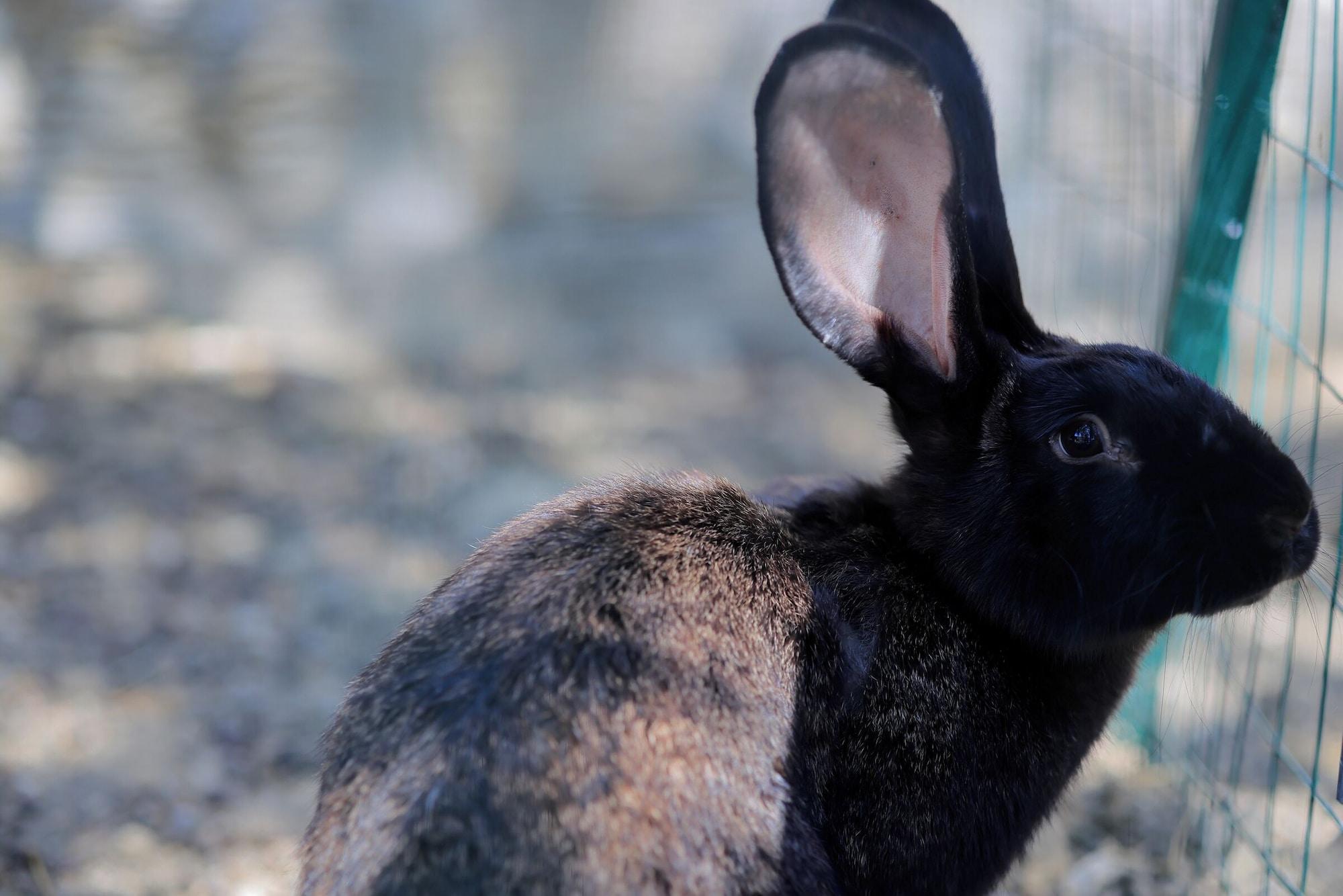 Vista Exterior Agriturismo Villa Guarnaschelli