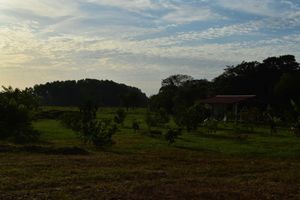 Alojamiento - Hotel Parador El Guafal