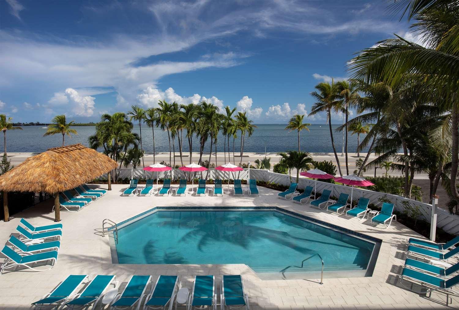 Vista da piscina The Laureate Key West