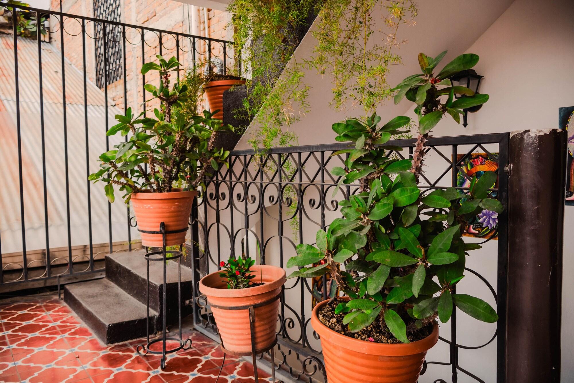 Comodidades del Alojamiento Lar Antiqua Hotel