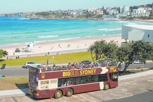 Actividad - Recorrido turístico Big Bus Sydney de 24 horas con paradas libres
