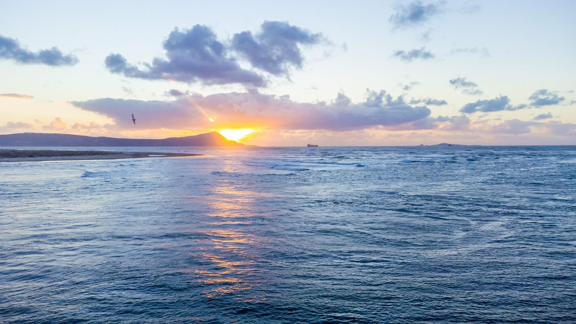 Playa Estero Beach Hotel & Resort