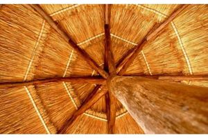 Hoteles de Lujo en Akumal Todo Incluido