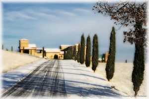 Alojamiento - Relais La Colombara