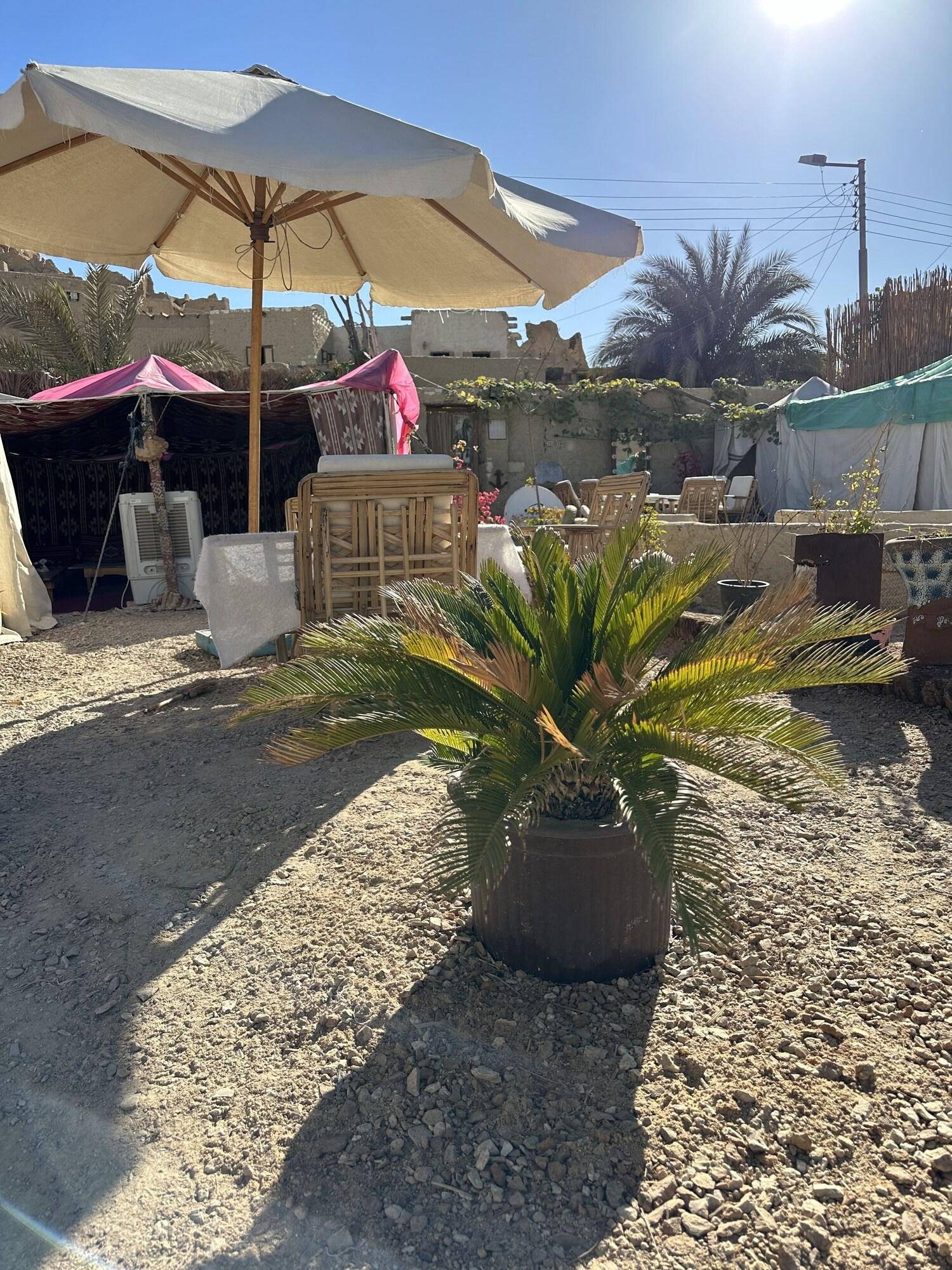 Vista Exterior Muhra Camp Siwa