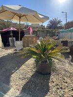 Alojamiento - Muhra Camp Siwa