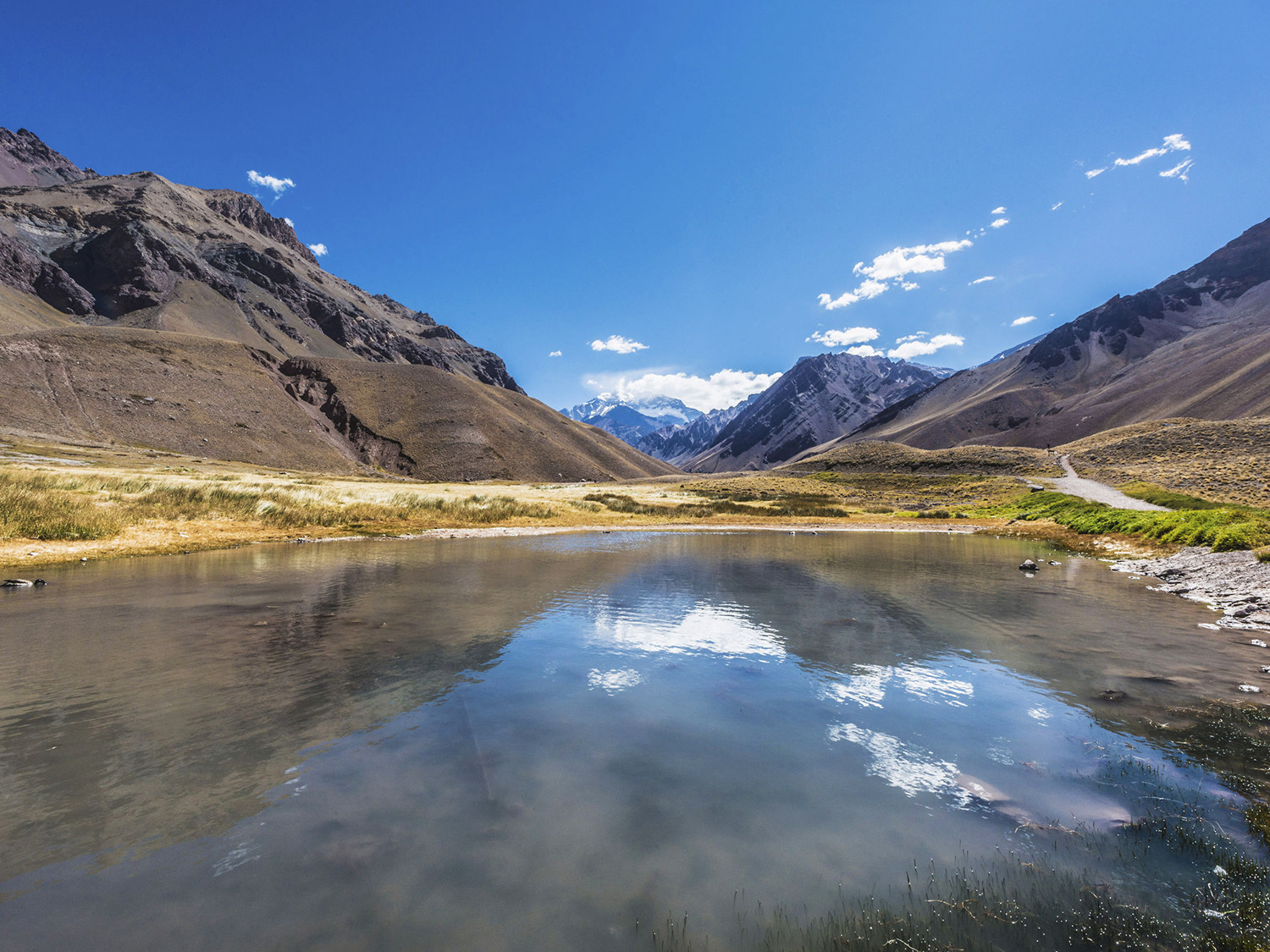 Mendoza