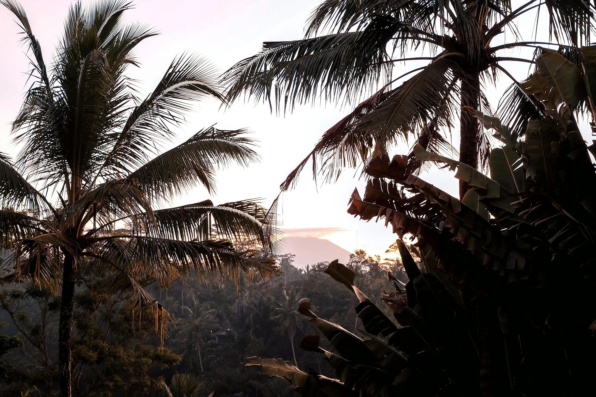 Vista Lobby Chapung Sebali Resort