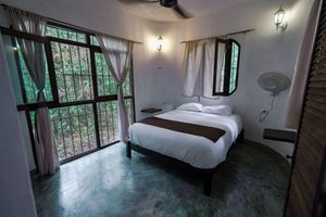 Alquiler Vacacional - Jolie Jungle Eco Hotel