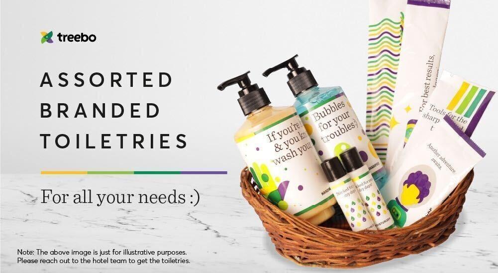 Comodidades del Alojamiento Treebo MVP Grand