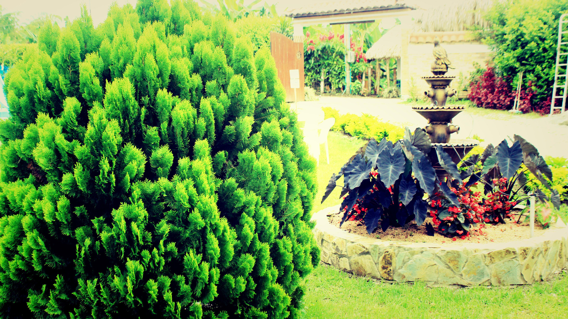 Comodidades del Alojamiento Finca Hotel El Angel