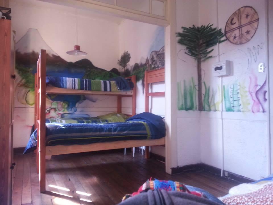 Habitación Gnomo Hostel