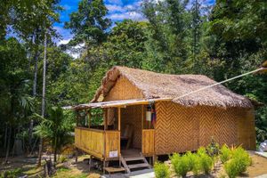 Alojamiento - Rain Forest Inn