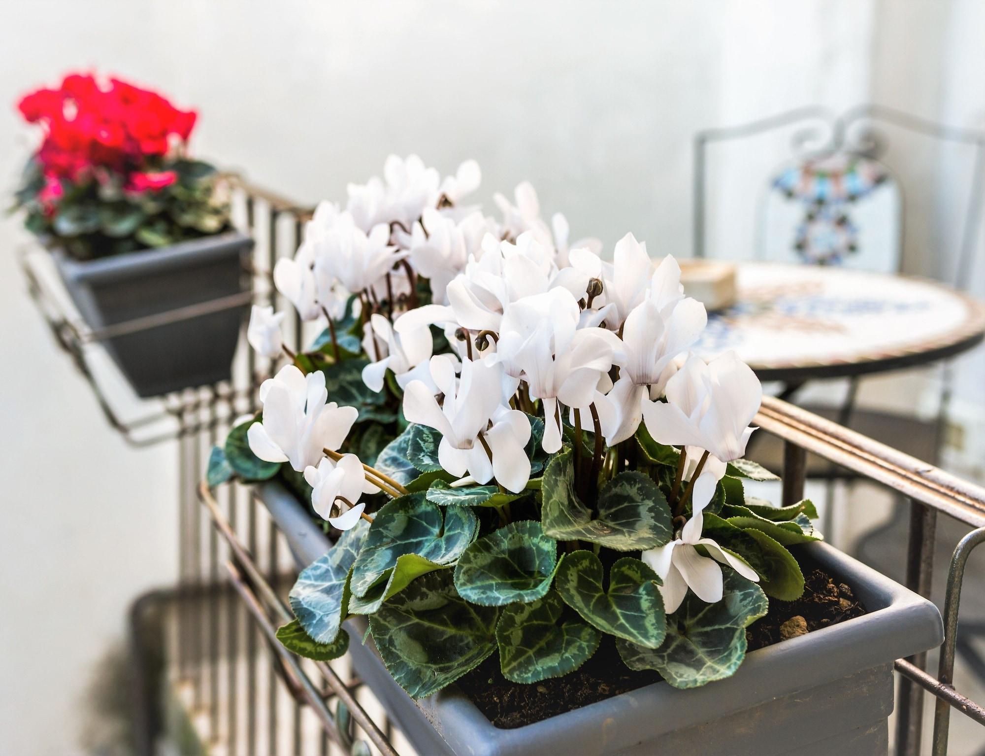 Vista Exterior Palazzo Mari