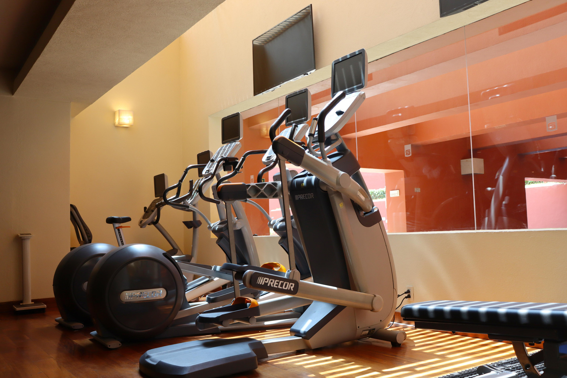 Gimnasio Camino Real Monterrey