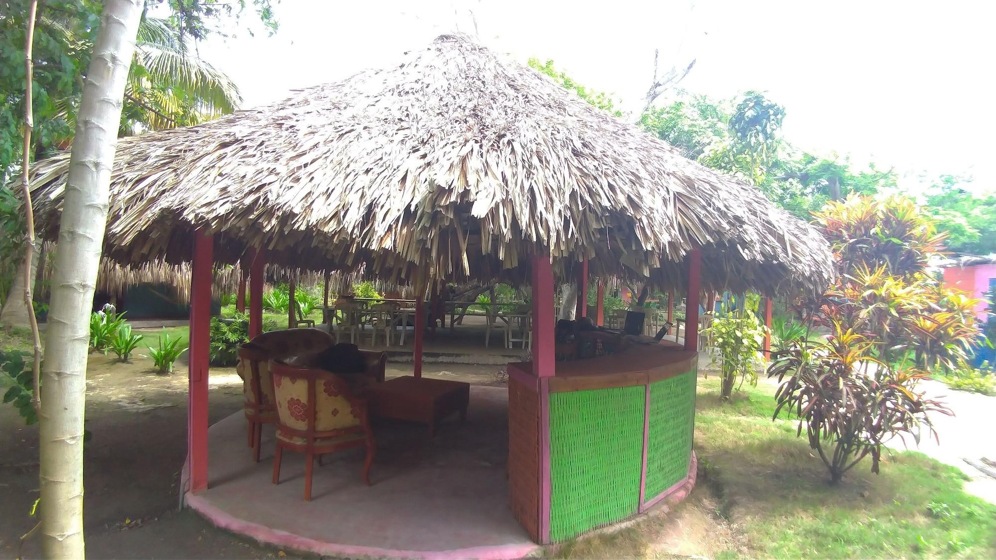 Varios Las Palmeras
