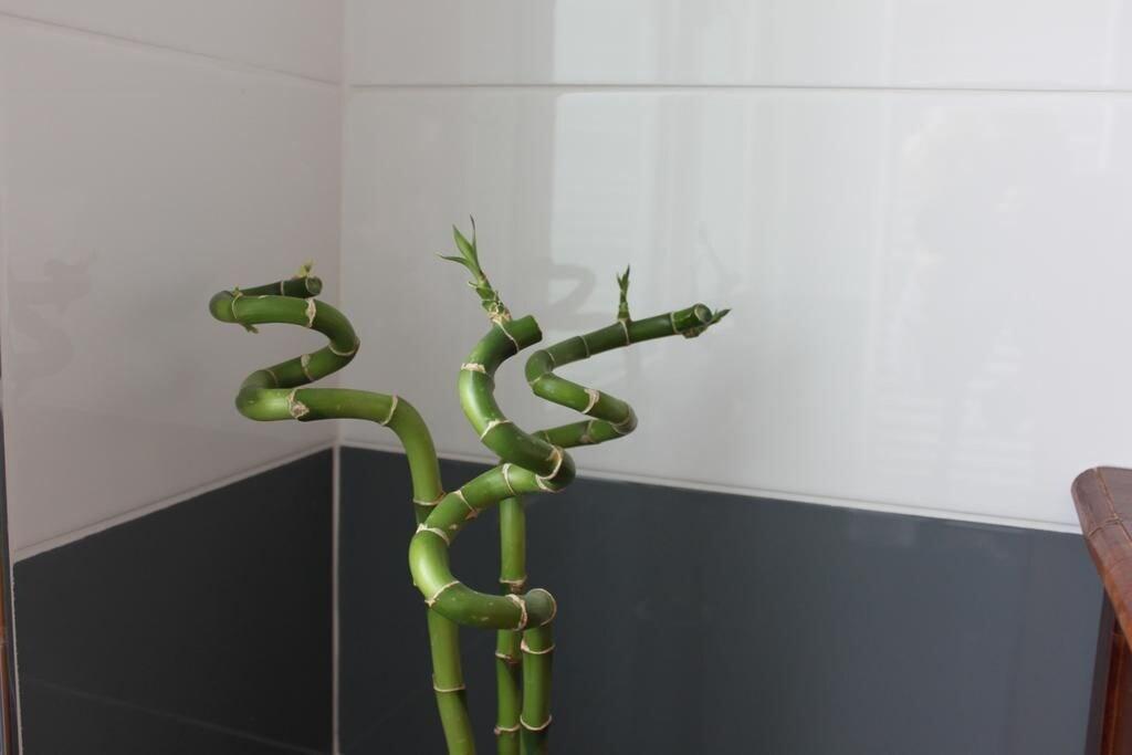 Comodidades del Alojamiento Chambres d hôtes Au coeur de Beauvais