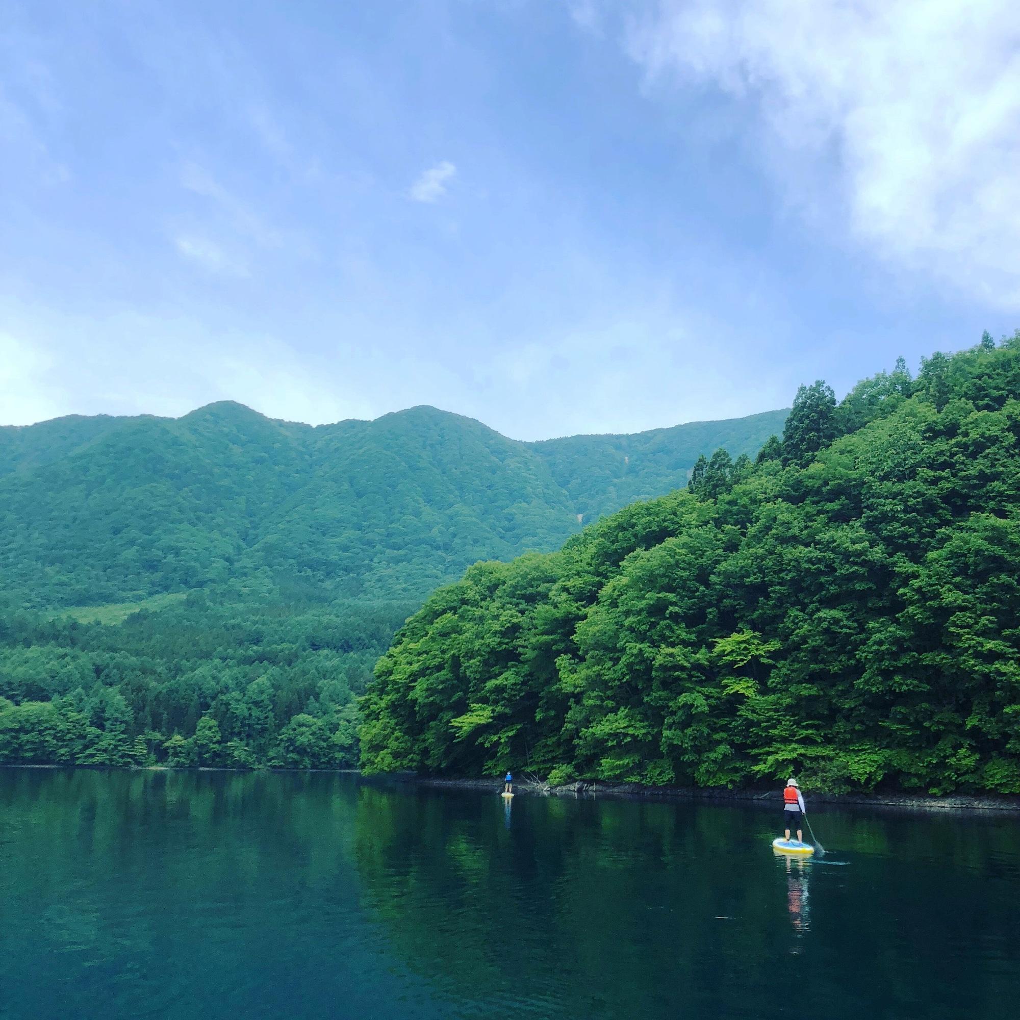 Instalaciones Recreativas The Guest House Japan Hakuba